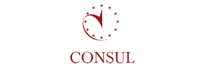 Логотип Consul